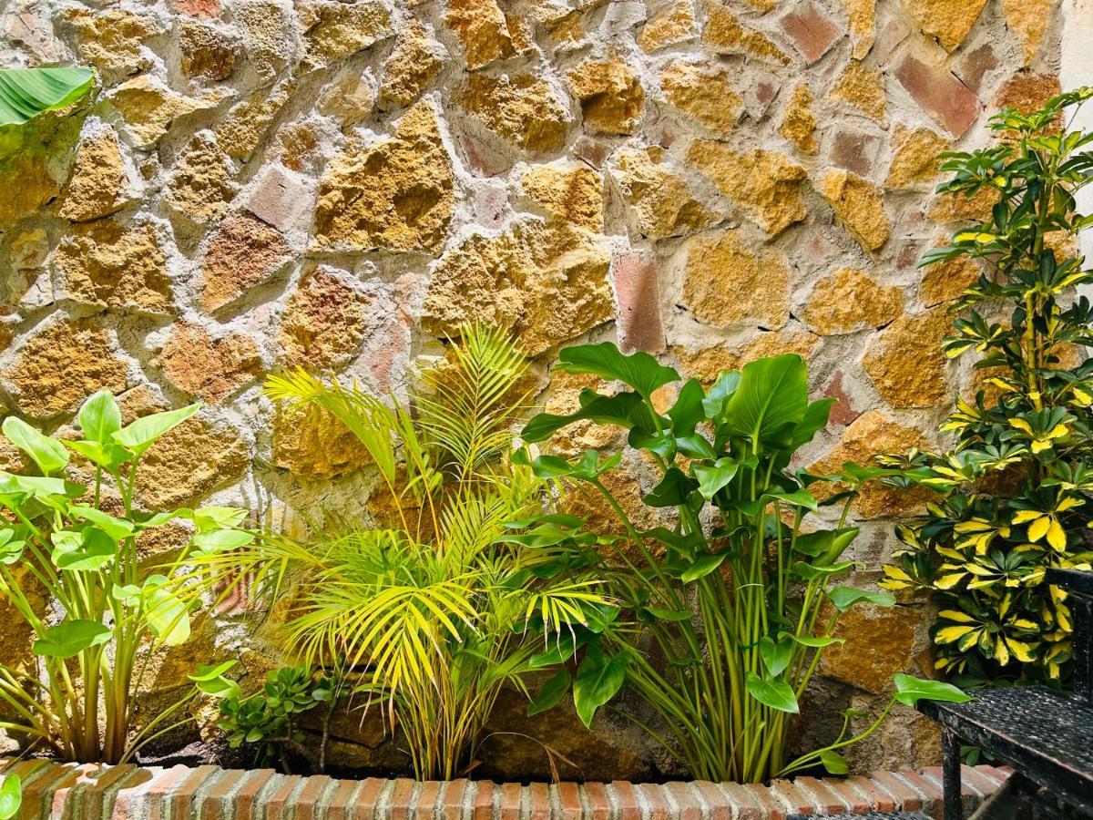 Apartmán Clemens9 Premium Màlaga Exteriér fotografie